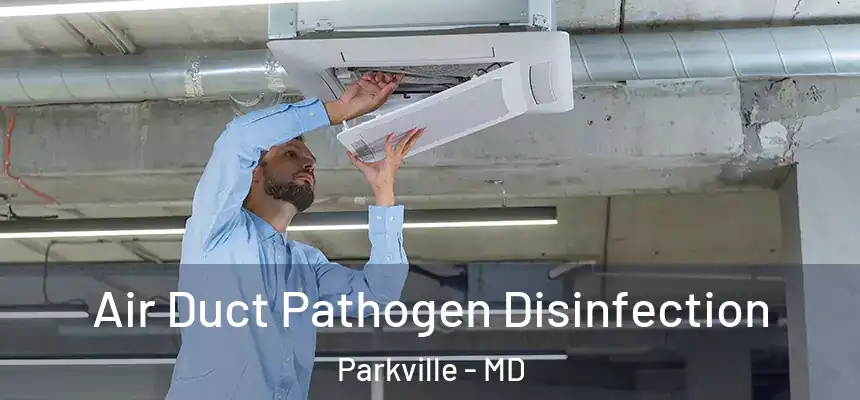  Air Duct Pathogen Disinfection Parkville - MD