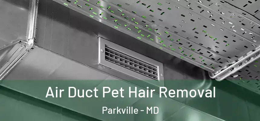  Air Duct Pet Hair Removal Parkville - MD