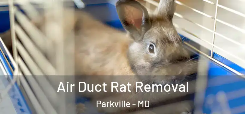  Air Duct Rat Removal Parkville - MD