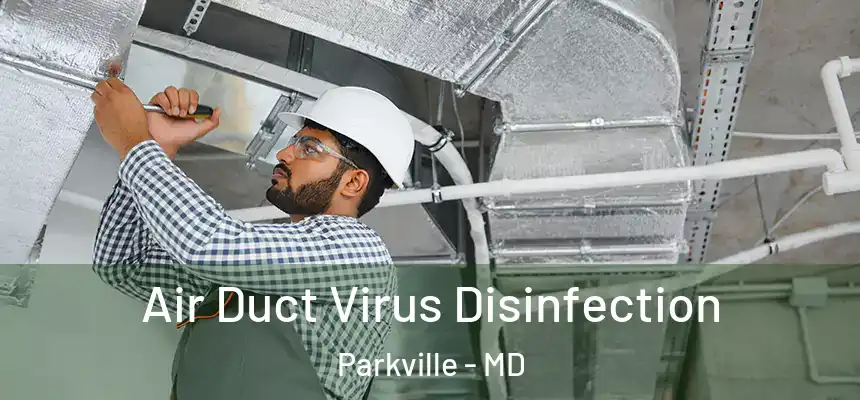  Air Duct Virus Disinfection Parkville - MD
