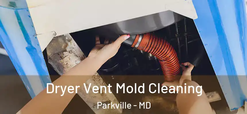 Dryer Vent Mold Cleaning Parkville - MD