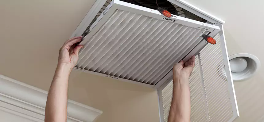 Preventive Cockroach-Proofing for Ducts in Parkville