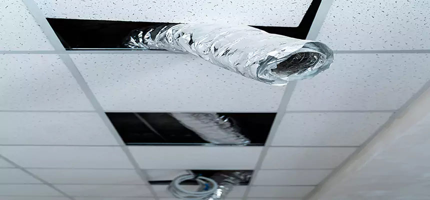 Our Air Duct Pet Hair Removal Services in Parkville, MD