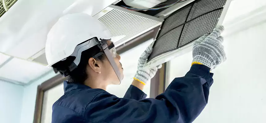 Our Mold & Mildew Removal from Air Ducts Services in Parkville, MD