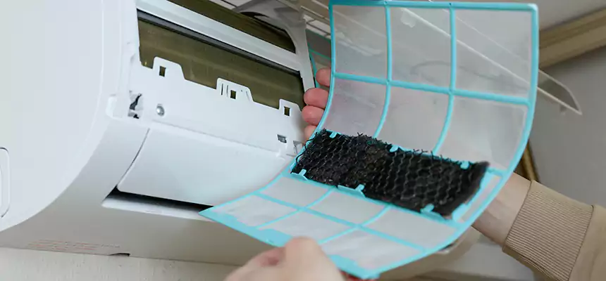 Gentle Ductwork Odor-Control Pet Dander Duct Cleaning in Parkville, MD