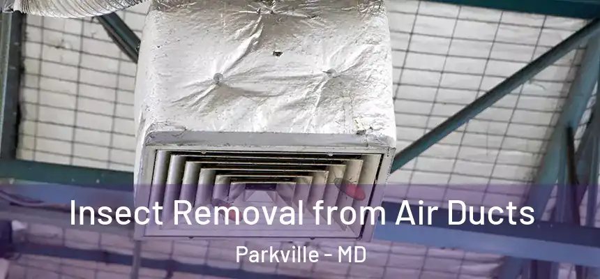  Insect Removal from Air Ducts Parkville - MD