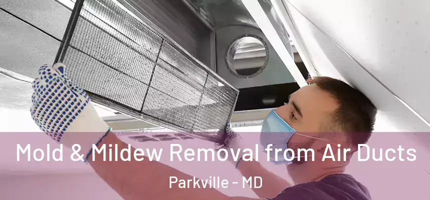 Mold & Mildew Removal from Air Ducts Parkville - MD