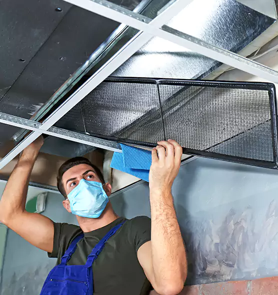 Professional Air Duct Pollen Cleaning in Parkville, MD