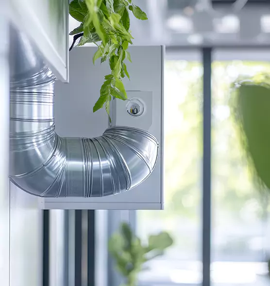 Professional Eco-Safe Dryer Vent Cleaning in Parkville, MD