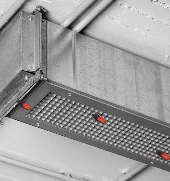 Affordable Insect Removal from Air Ducts in Parkville, MD