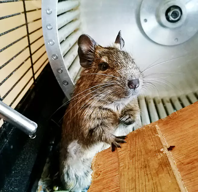 Why Homeowners & Businesses Trust Us Parkville, MD