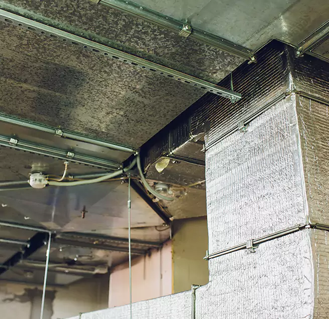 Why Homeowners & Businesses Trust Us in Parkville, MD?